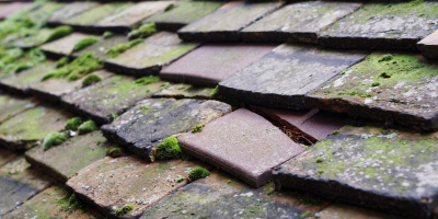 Blackford roof repair costs